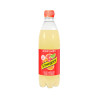 Schweppes Agrumes 50 CL