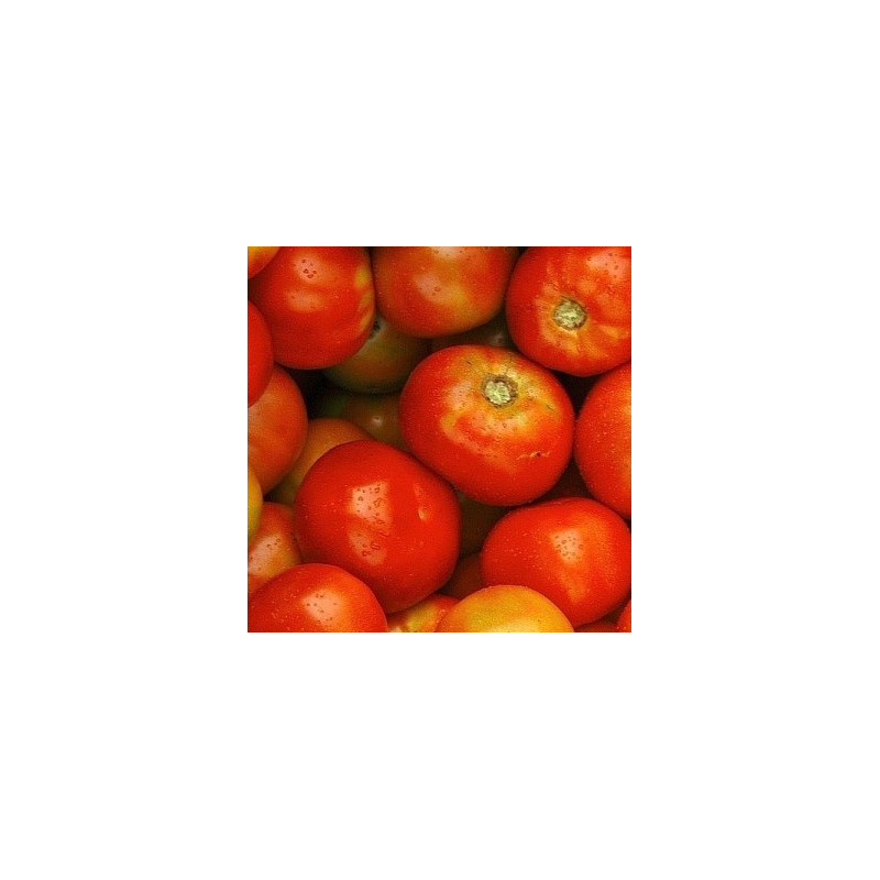 TOMATE MARTINIQUE