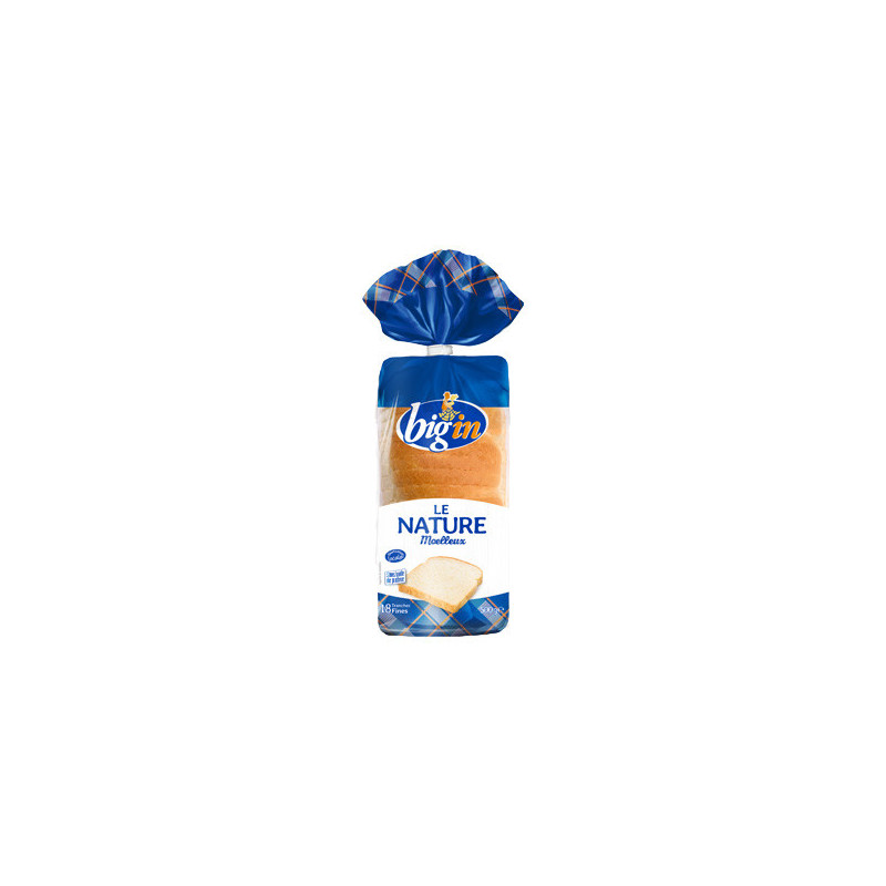 PAIN DE MIE NATURE 500G - BIGIN