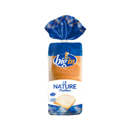 PAIN DE MIE NATURE 500G - BIGIN