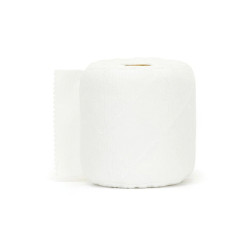 PAPIER TOILETTE DOUDOU 2RLX