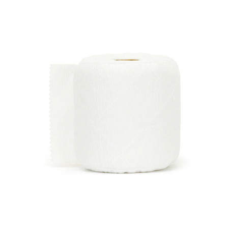PAPIER TOILETTE DOUDOU 2RLX