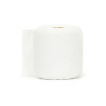 PAPIER TOILETTE DOUDOU 2RLX