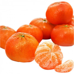 MANDARINE NADORCOTT IMPORT