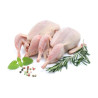Caille BQ x4 440G