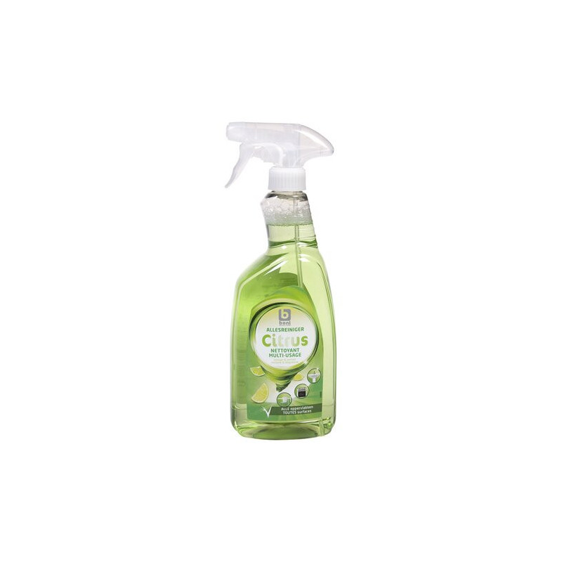 BONI NETTOIE-TOUT CITRUS 750ML