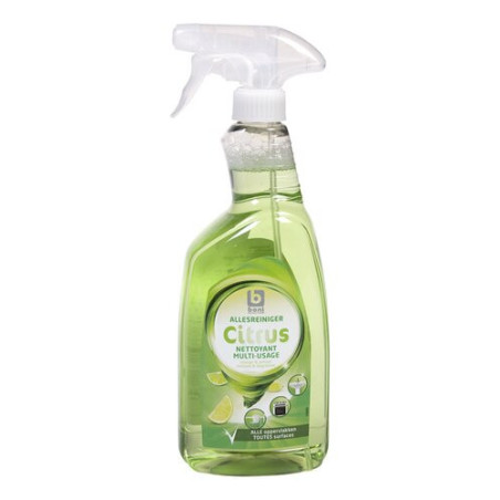 BONI NETTOIE-TOUT CITRUS 750ML