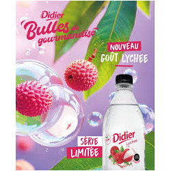 DIDIER ANANAS GINGEMBRE 50CL