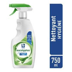 NETTOIE-TOUT EUCAL. 750ML BONI