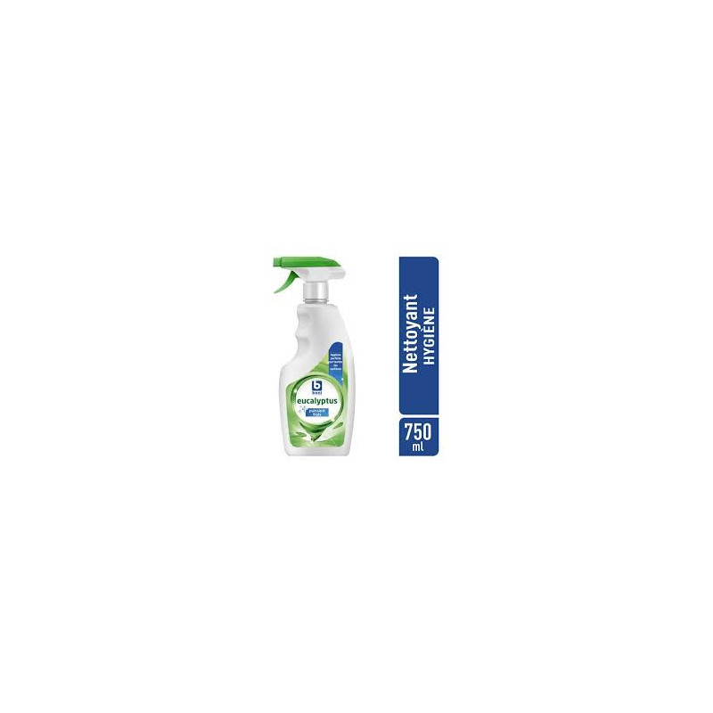 NETTOIE-TOUT EUCAL. 750ML BONI