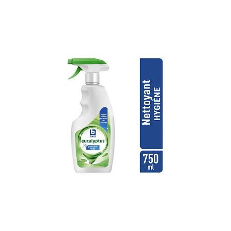 NETTOIE-TOUT EUCAL. 750ML BONI