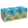 ROYAL BAF TROPICAL 6X20CL