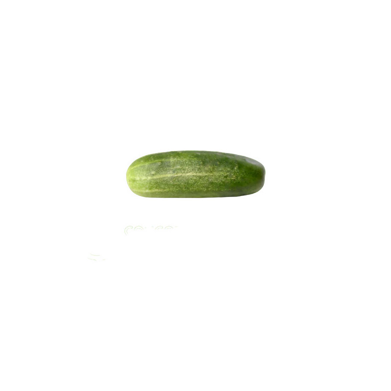 concombre kg