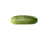 concombre kg