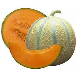 MELON MARTINIQUE