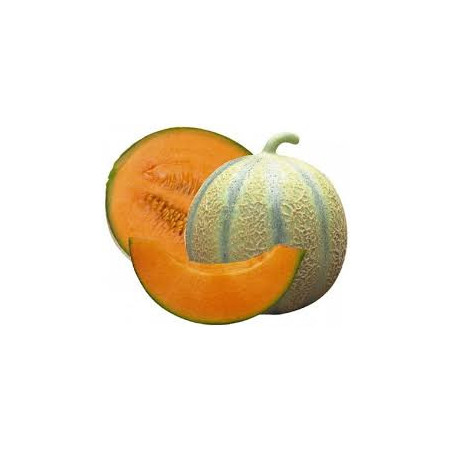 MELON MARTINIQUE