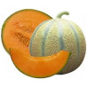 MELON MARTINIQUE