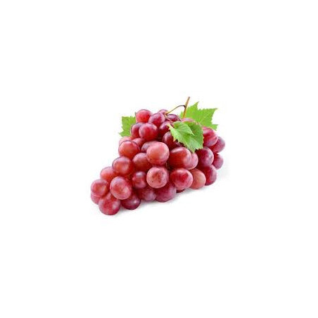 RAISIN ROUGE KG ORIGINE ITALIE