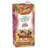 Banga ice tea fruits rouge 2l
