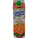 Caresse Antillaise Nectar  1l Orange Ging